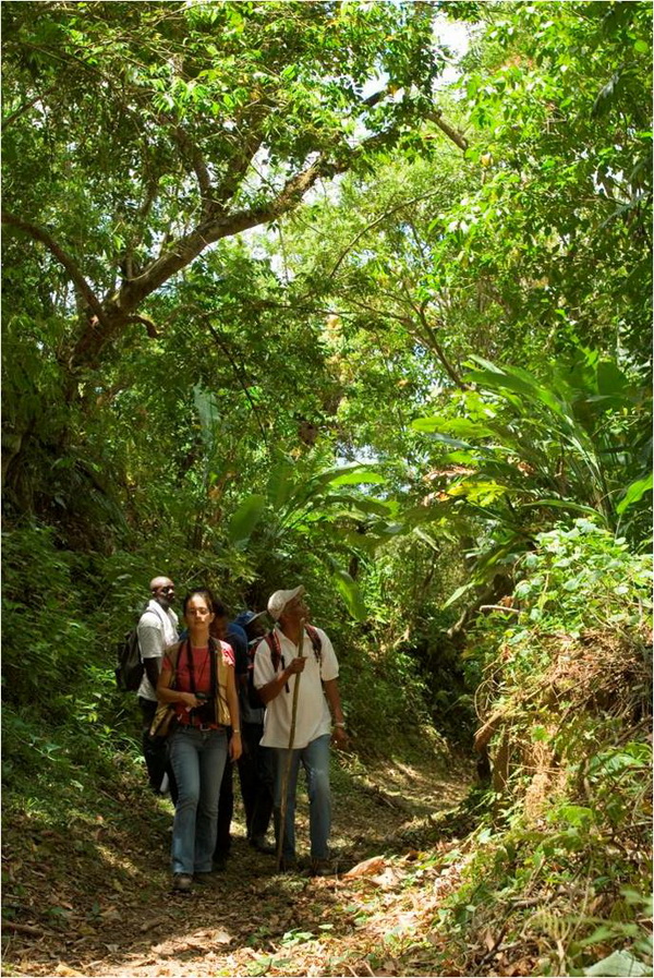Hiking the Cunha Cunha Pass Trail