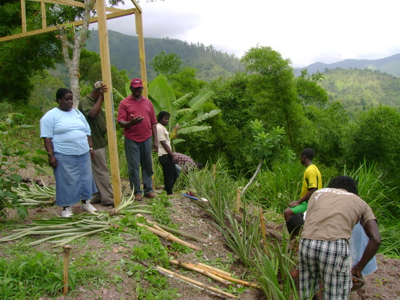 Planting of pineapples to reduce soil erosion beside greenhouse being built at Cascade to reduce slash and burn farming practices