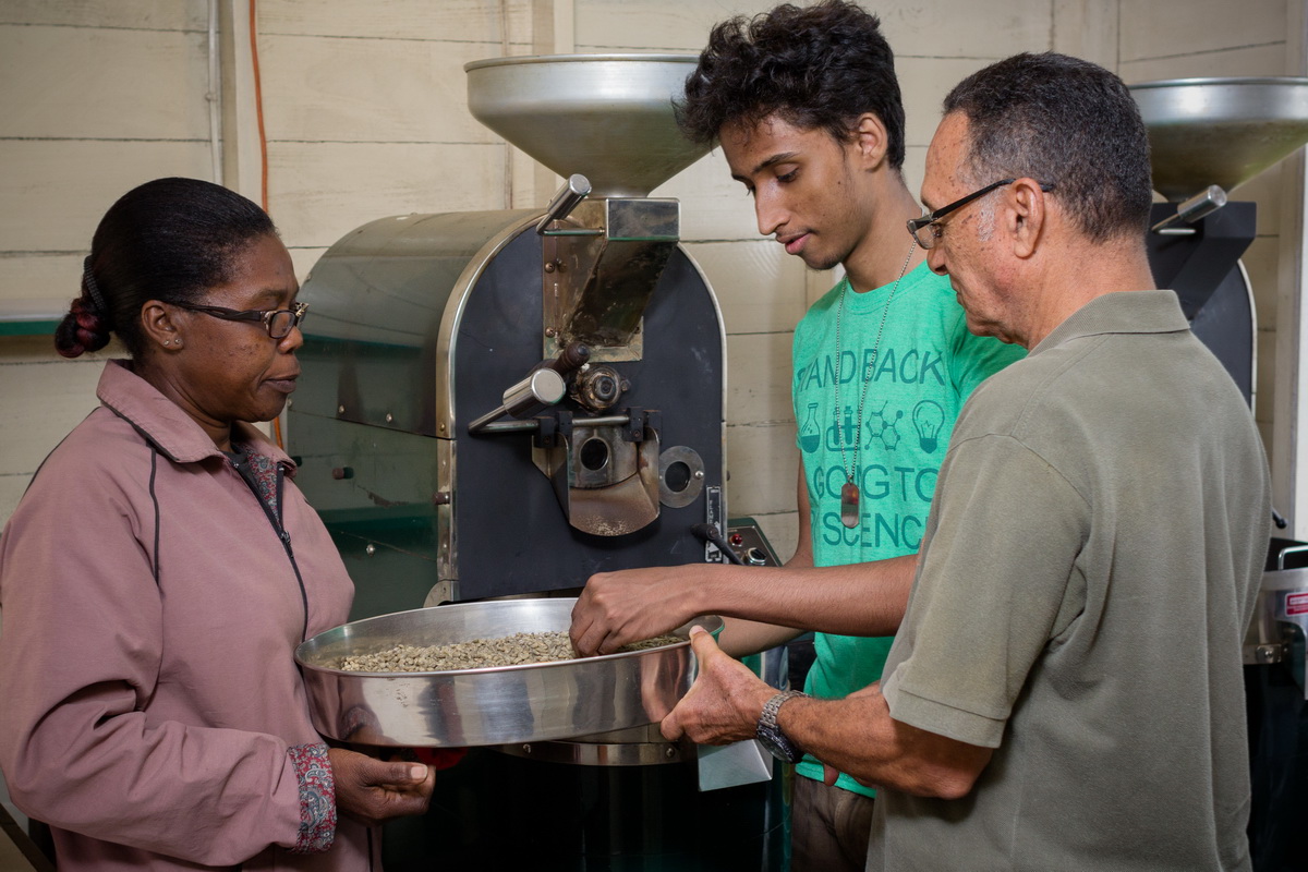 Holywell Coffee Tours