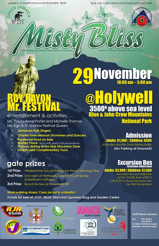 misty_bliss_2015_flyer_small