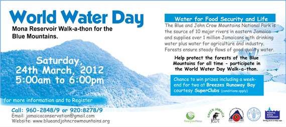 Mona Reservoir Walkathon for the Blue Mountains